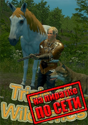Версия Trials of Wilderness по сети