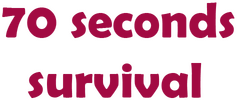 Логотип 70 Seconds Survival
