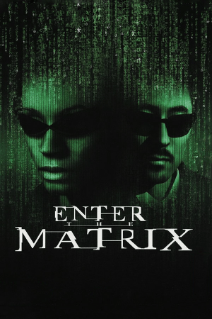 Enter the Matrix