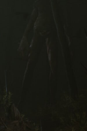 Rainbow Gate