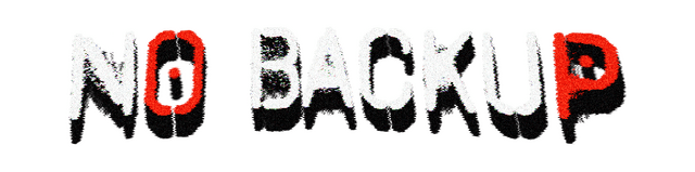 Логотип NO BACKUP
