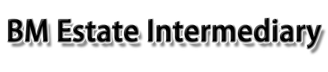Логотип BM Estate Intermediary