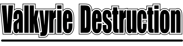 Логотип Valkyrie Destruction
