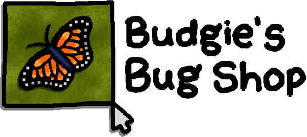 Логотип Budgie's Bug Shop