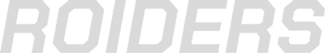 Логотип ROIDERS