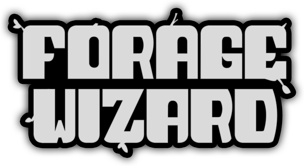 Логотип Forage Wizard