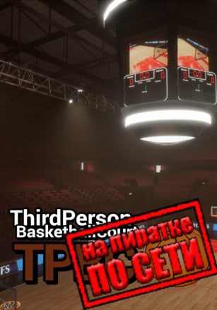 Версия Third Person Basketball Court по сети