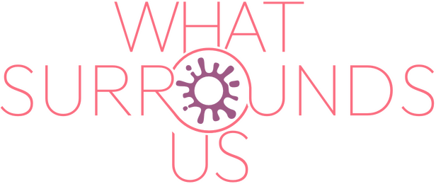 Логотип What Surrounds Us