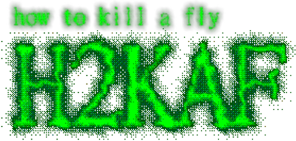 Логотип how to kill a fly H2KAF