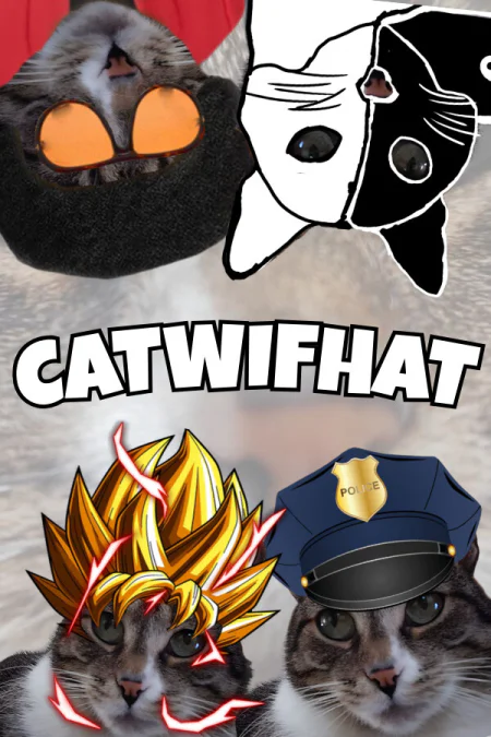 Catwifhat