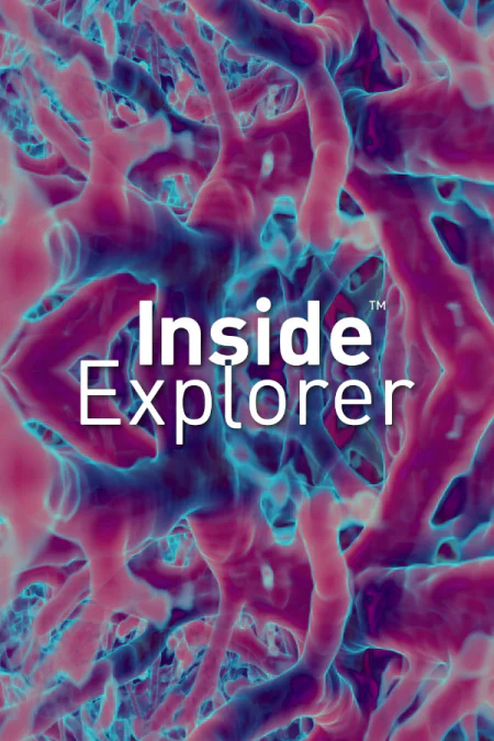 Inside Explorer