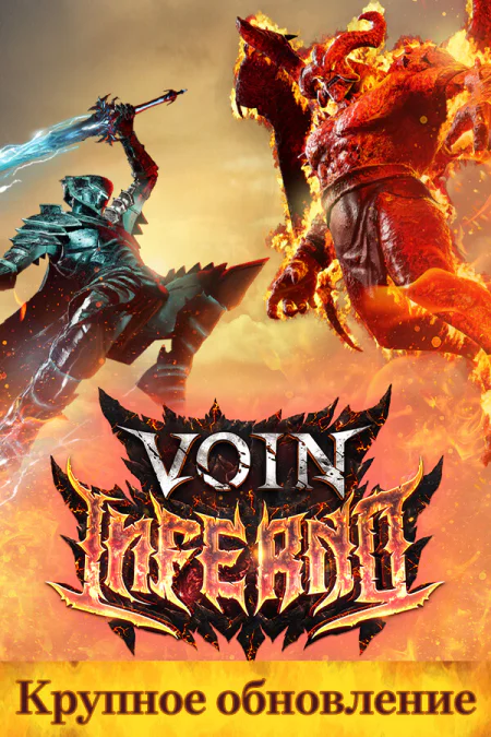 VOIN