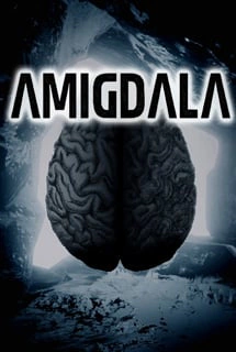 Amigdala