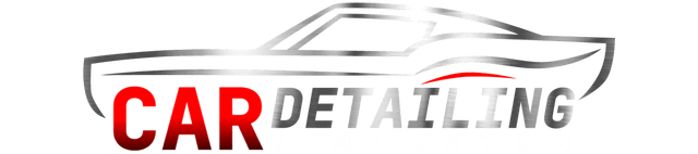 Логотип Car Detailing Simulator
