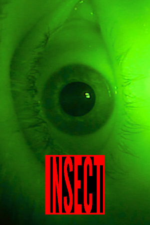 INSECT