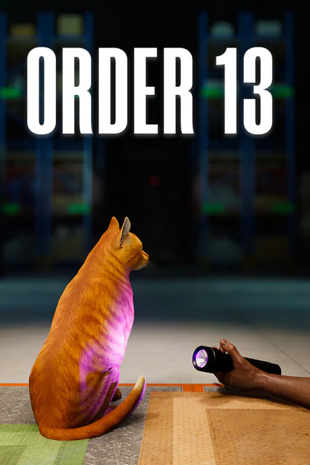 ORDER 13