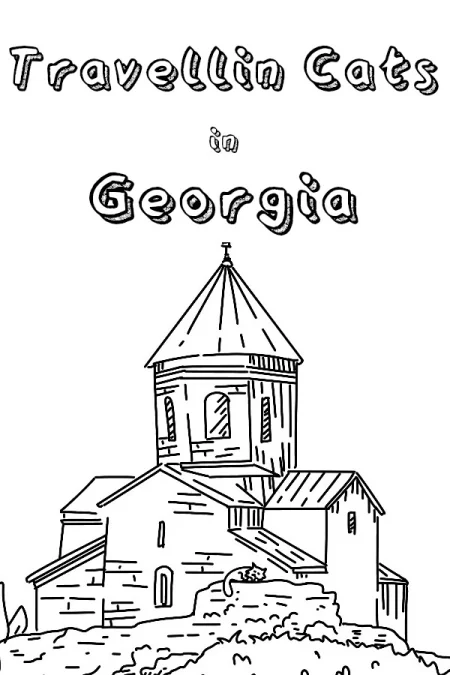 Cats Hidden in Georgia
