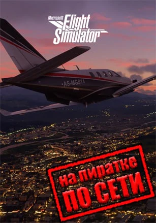 Microsoft Flight Simulator