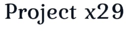 Логотип Project x29