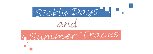 Логотип Sickly Days and Summer Traces