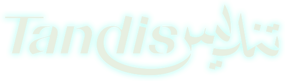 Логотип Tandis
