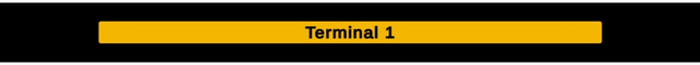 Логотип Terminal One
