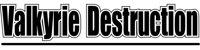 Логотип Valkyrie Destruction
