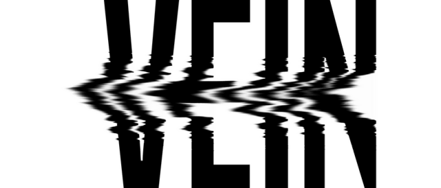 Логотип VEIN