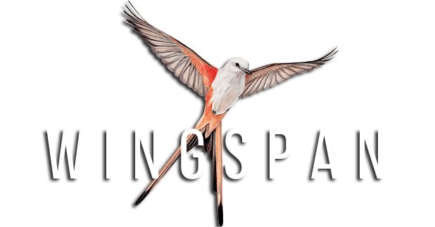 Логотип WINGSPAN (КРЫЛЬЯ)